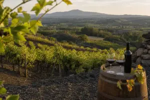 Vignaioli Vulcano Laziale, l’alleanza di 11 cantine che vuole riscrivere il racconto del vino dei Castelli