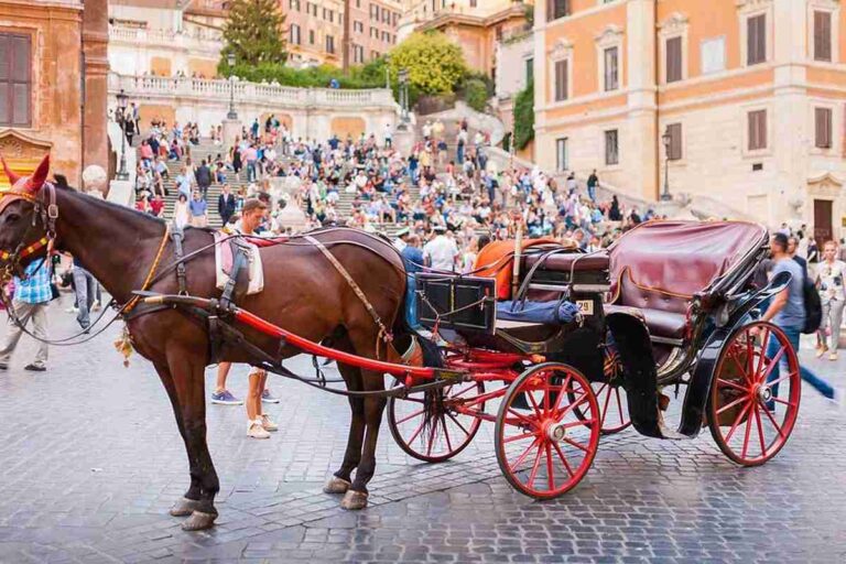 Una botticella romana in Piazza di Spagna, davanti alla scalinata