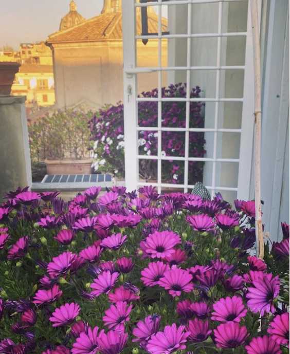 Tetti panorama fagnani casa Dailybest.it 14062026 (Credits Instagram)
